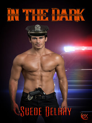 cover image of In the Dark